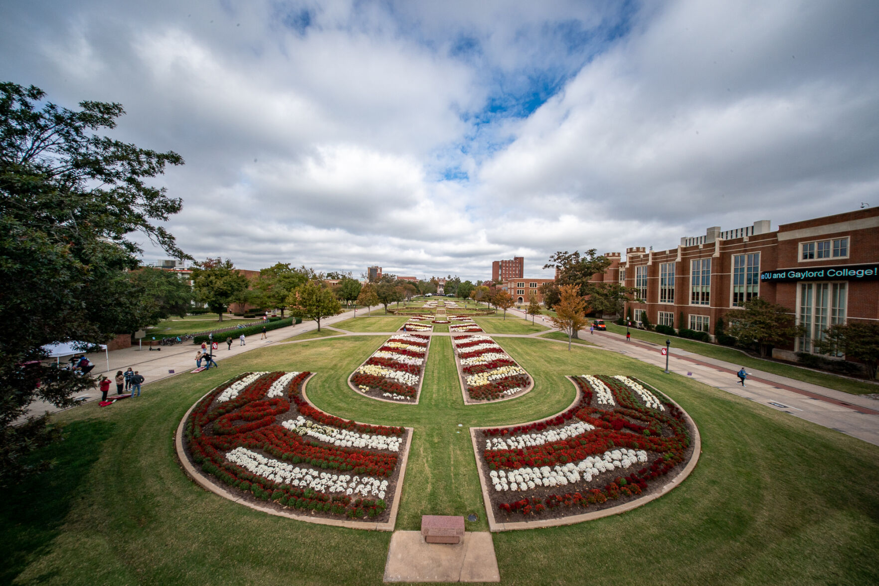 South Oval mums